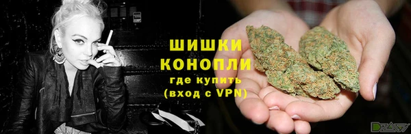 мдпв Сосновоборск