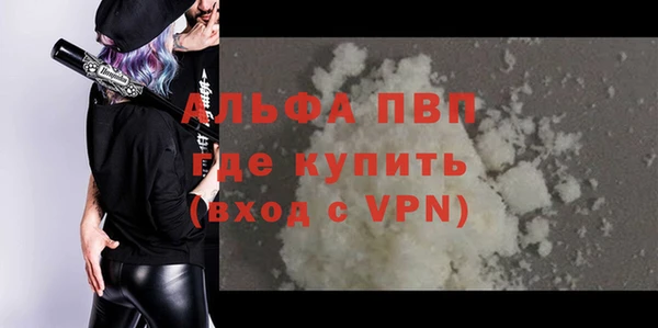 твердый Сосновый Бор