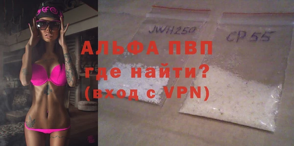 твердый Сосновый Бор