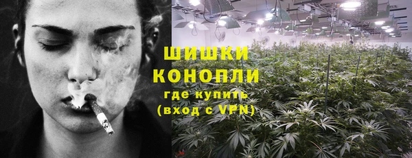 мдпв Сосновоборск