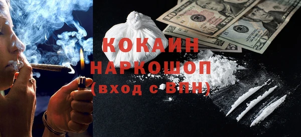 твердый Сосновый Бор