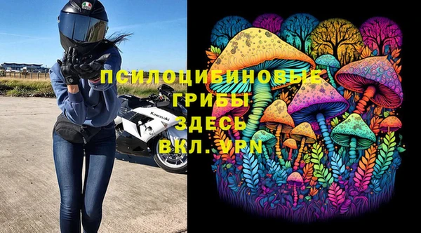 твердый Сосновый Бор