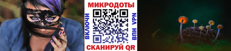 Галлюциногенные грибы Psilocybe  Купить где  Холм 